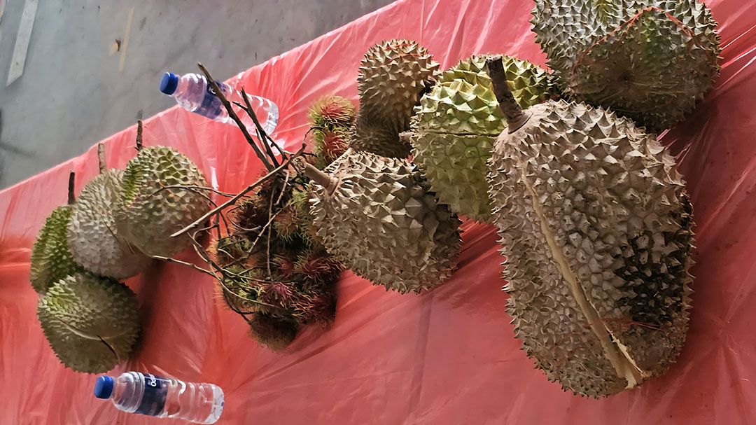 Durian cum Bingo Party 2025